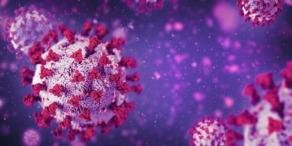 Article teaser image