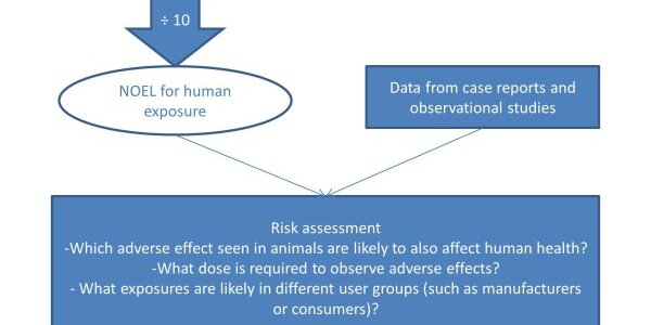 Article teaser image