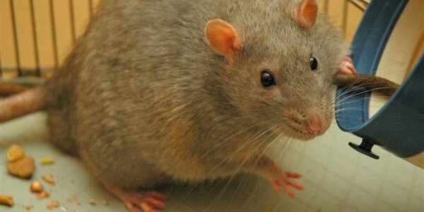 Article teaser image