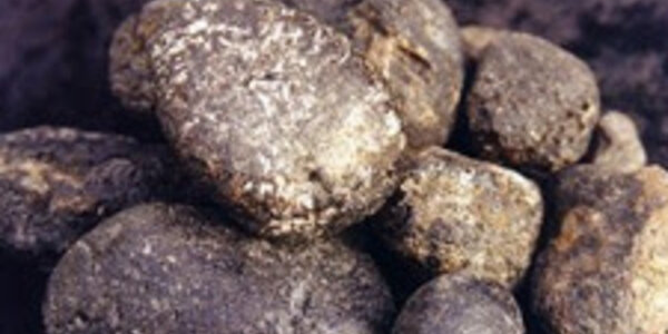 Article teaser image