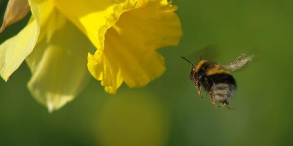 Article teaser image