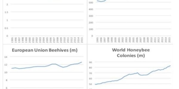 Article teaser image