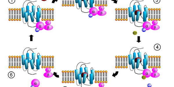 Article teaser image