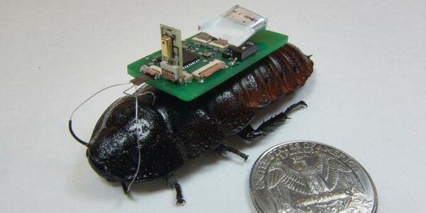 Article teaser image