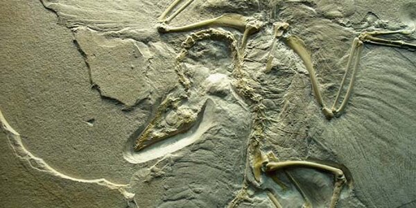 Article teaser image