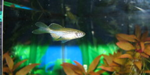 Article teaser image