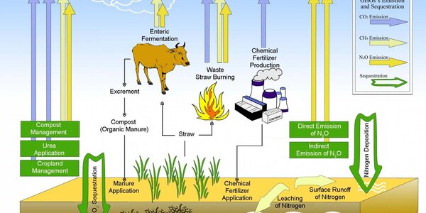 Article teaser image