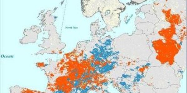 Article teaser image