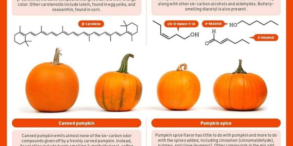 Article teaser image