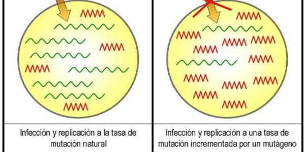 Article teaser image