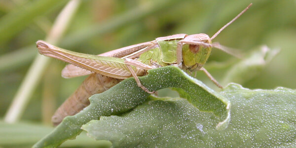 Article teaser image