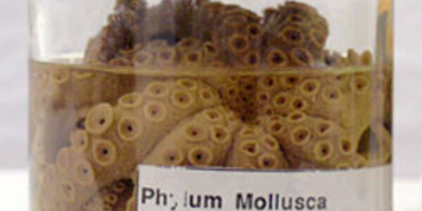 Article teaser image