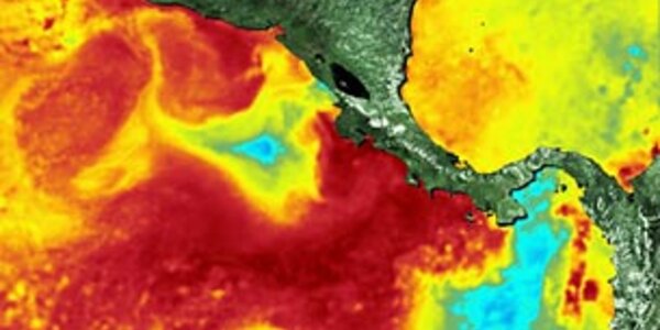 Article teaser image