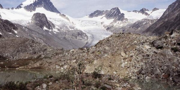 Article teaser image