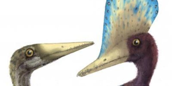 Article teaser image