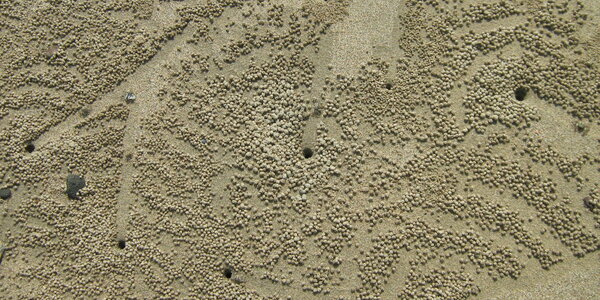 Article teaser image