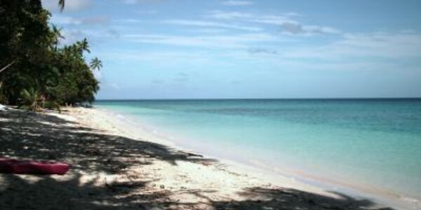 Article teaser image