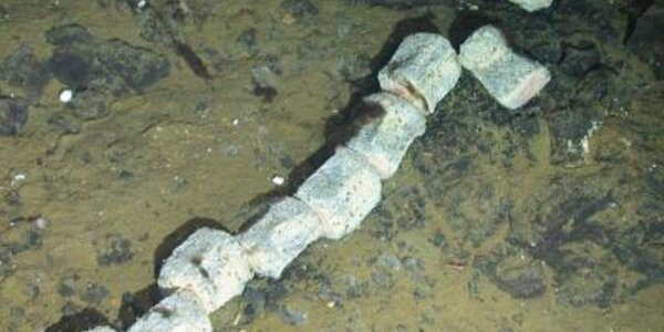 Article teaser image