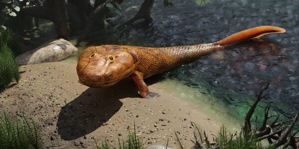 Article teaser image