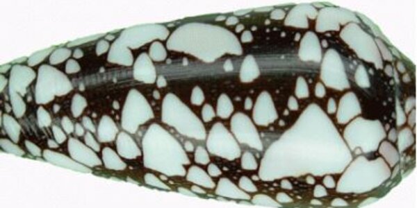 Article teaser image