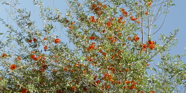 Article teaser image