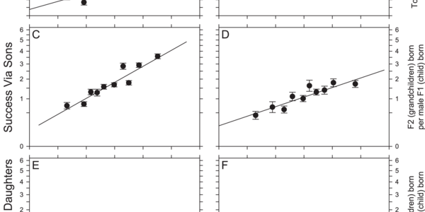 Article teaser image