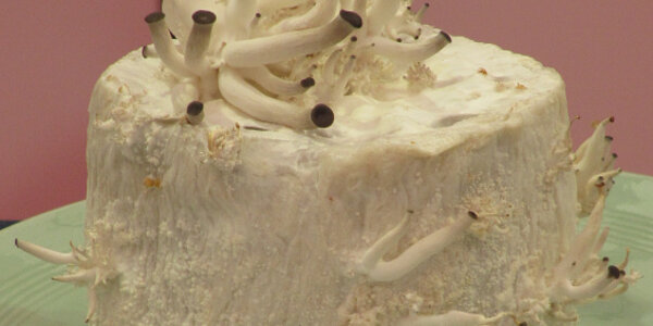 Article teaser image