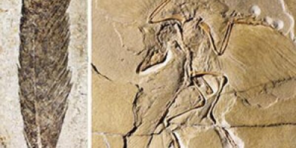 Article teaser image