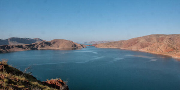 Article teaser image