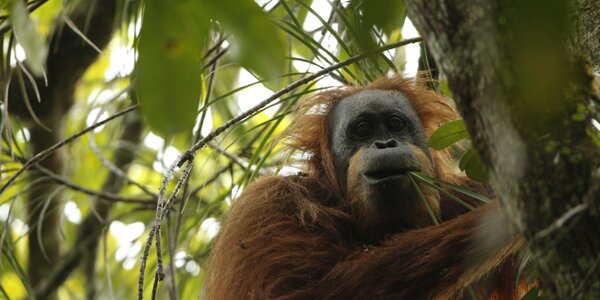 Article teaser image