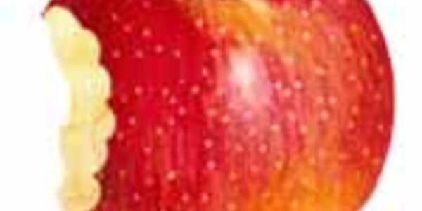 Article teaser image