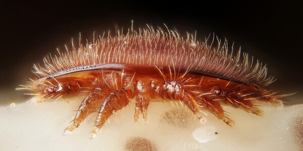 Article teaser image