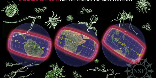 Article teaser image