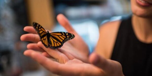 Article teaser image