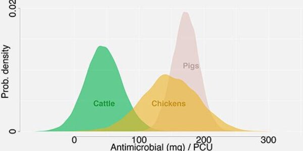 Article teaser image