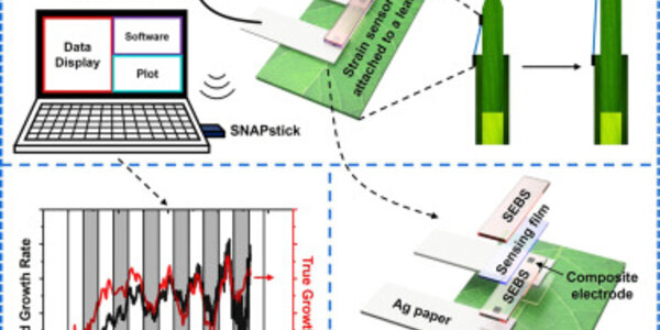 Article teaser image