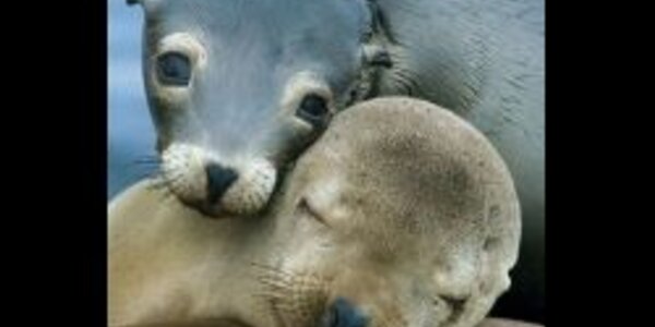 Article teaser image