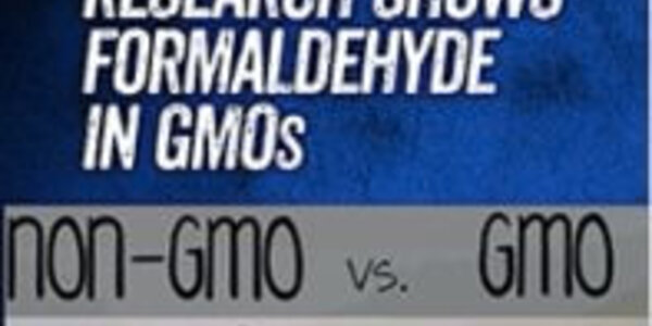 Article teaser image