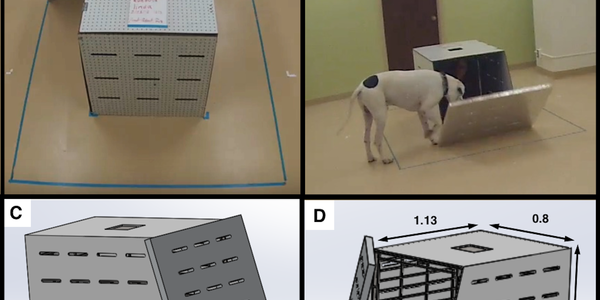 Article teaser image