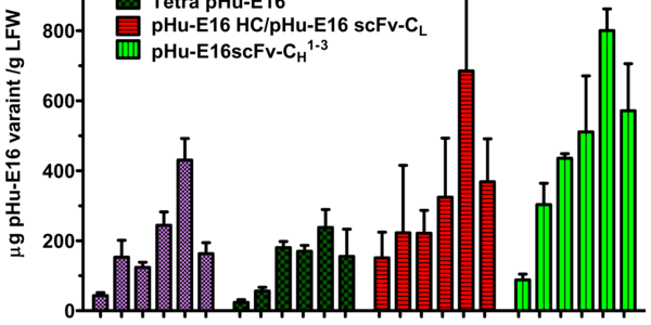 Article teaser image