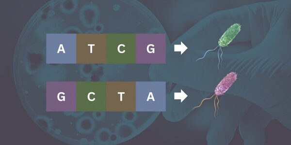 Article teaser image