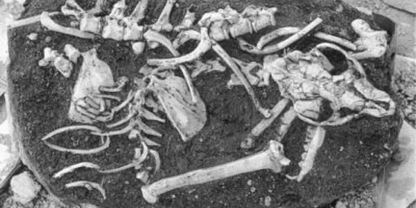 Article teaser image