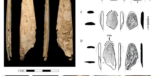 Article teaser image