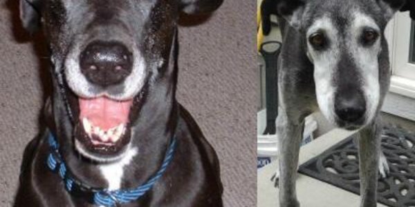 Article teaser image