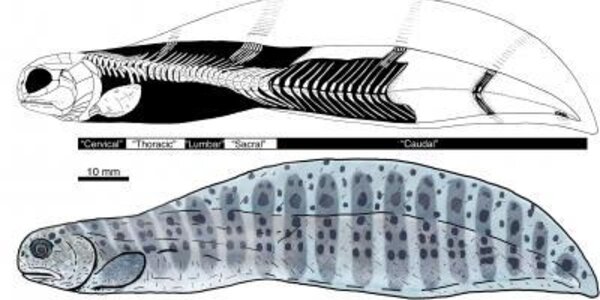 Article teaser image