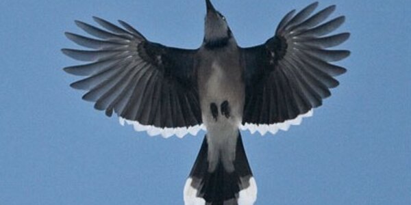 Article teaser image