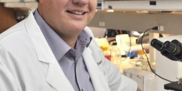 Article teaser image