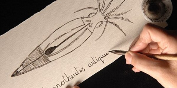 Article teaser image