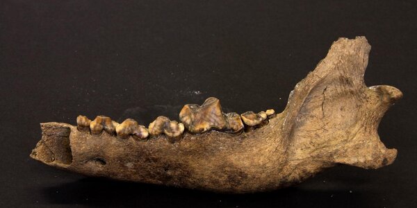 Article teaser image