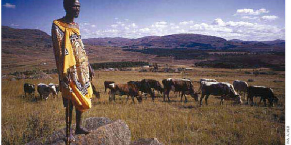 Article teaser image